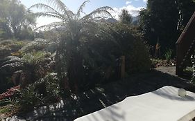 Joya Garden & Villa Studios